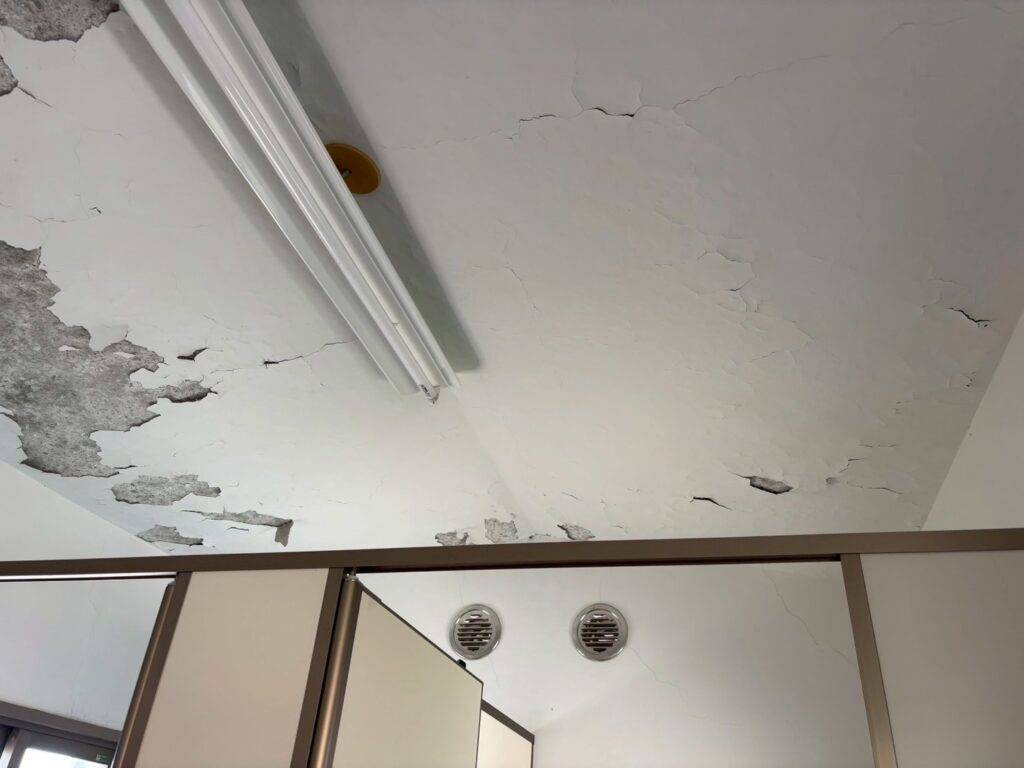 大木町　寺　トイレ　屋上防水　着工前 (1)